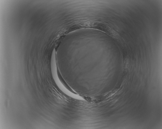 X0000051241202200507082115