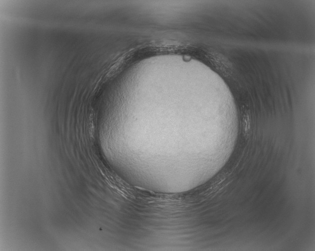 X0000051241204200507082115