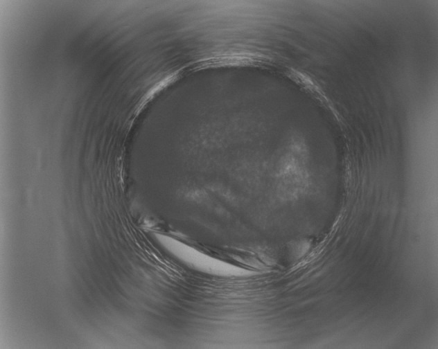 X0000051241210200507082115