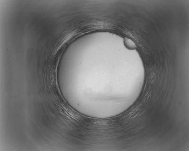 X0000051241211200507082115