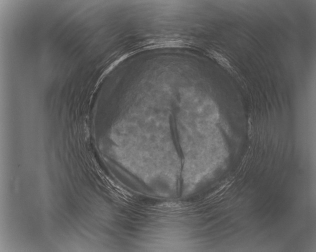 X0000051241212200507082115