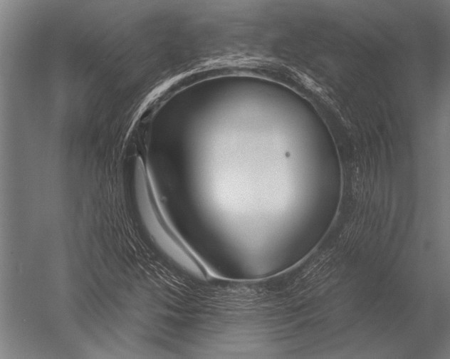 X0000051241214200507082115