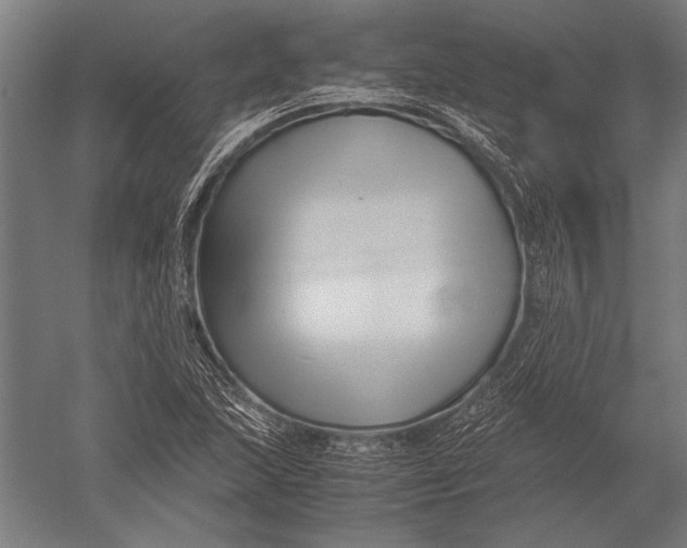 X0000051241215200507082115