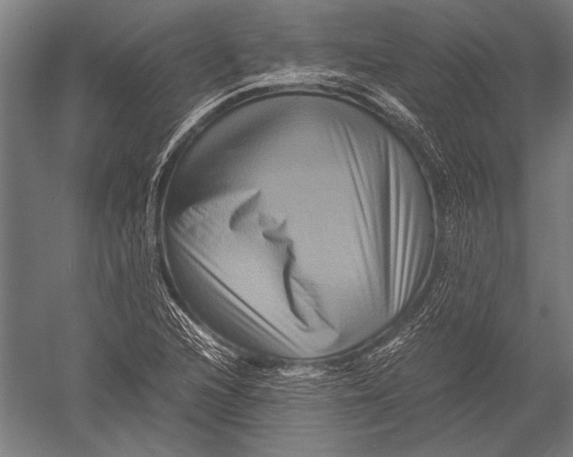 X0000051241216200507082115