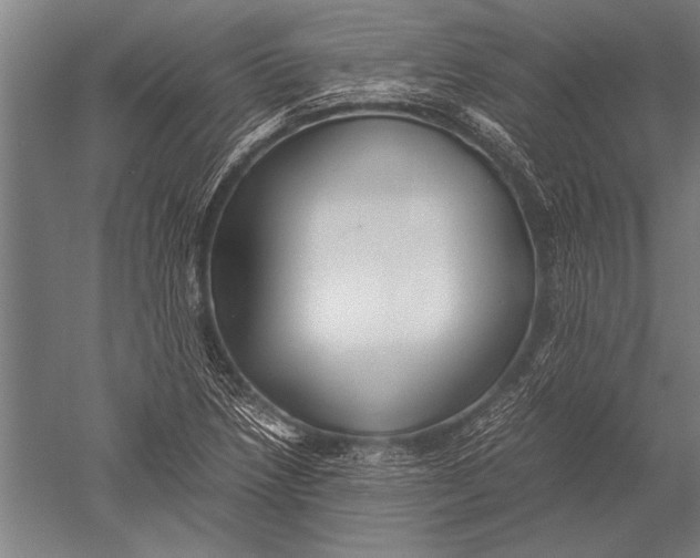 X0000051241218200507082115