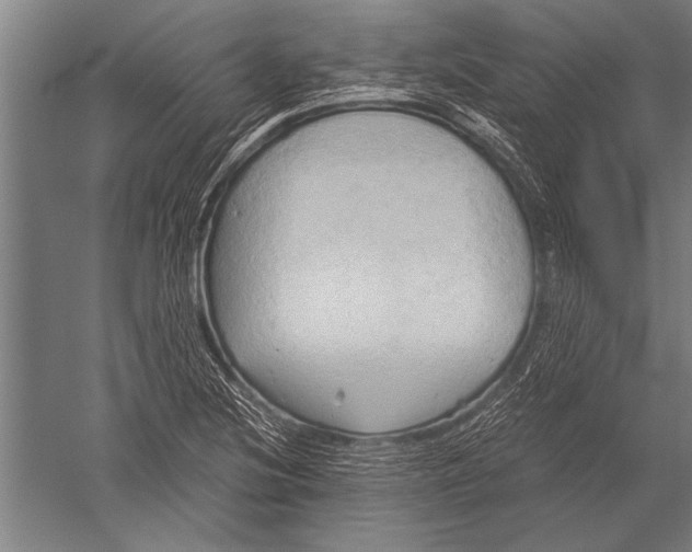 X0000051241220200507082115