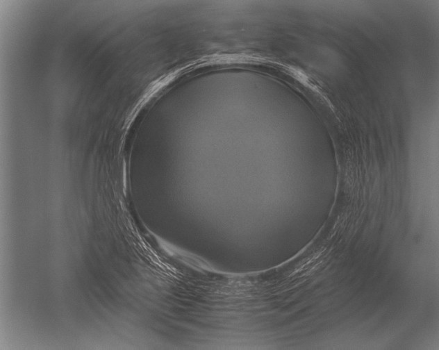 X0000051241221200507082115