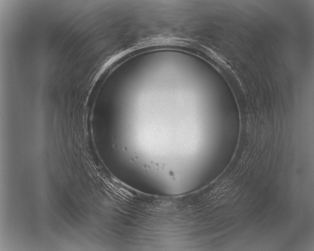 X0000051241222200507082115