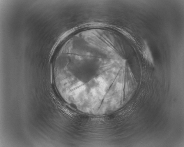 X0000051241223200507082115