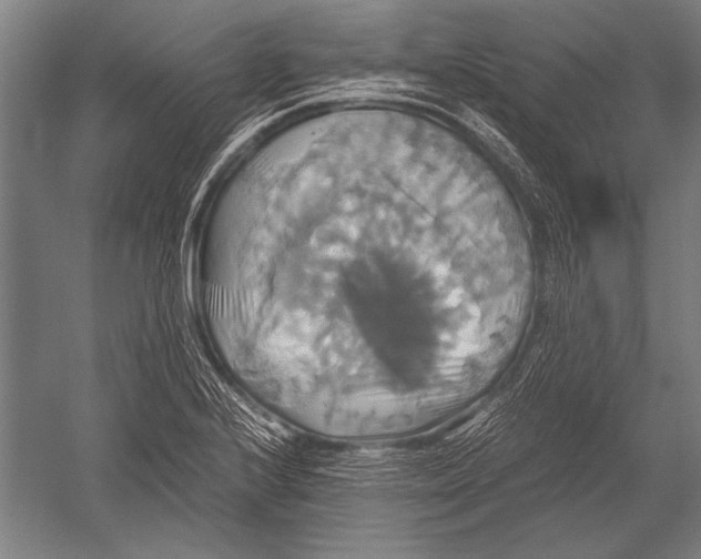 X0000051241224200507082115