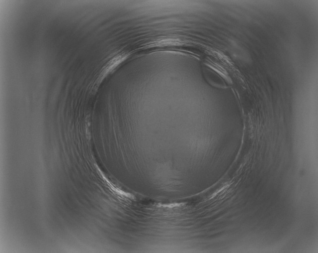 X0000051241225200507082115