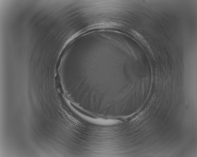 X0000051241226200507082115