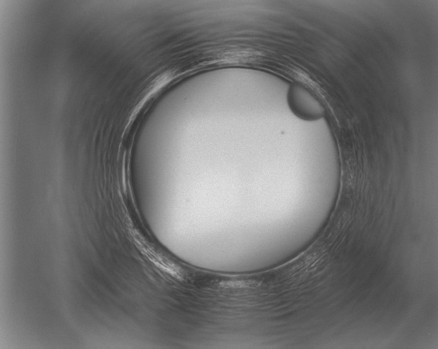 X0000051241227200507082115