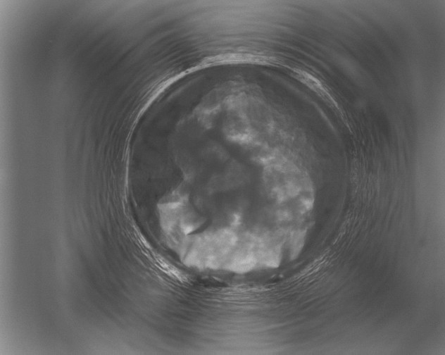 X0000051241228200507082115