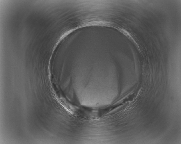 X0000051241230200507082115