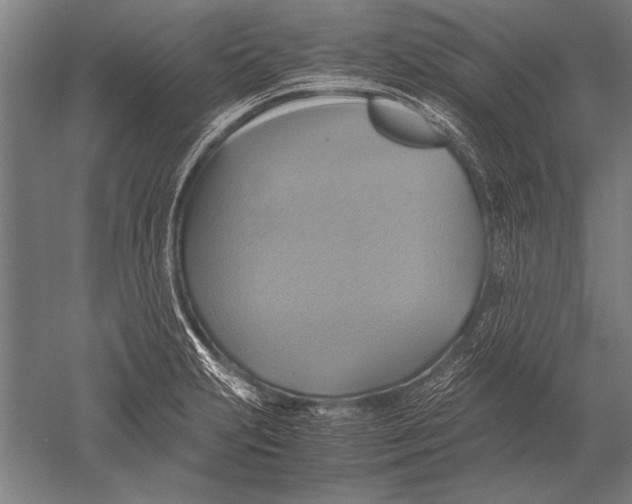 X0000051241231200507082115