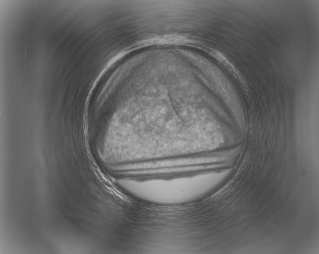 X0000051241232200507082115