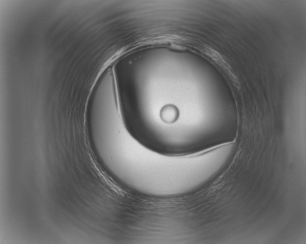 X0000051241234200507082115