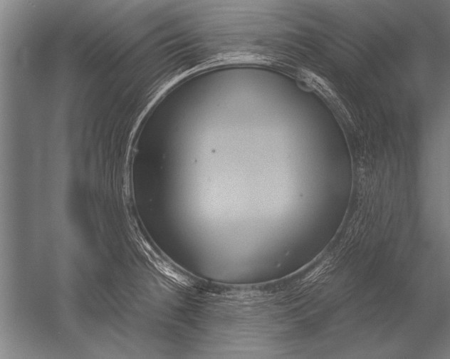 X0000051241236200507082116