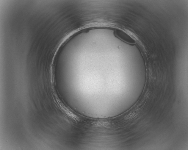 X0000051241238200507082116