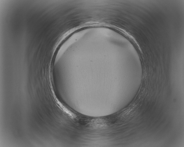 X0000051241239200507082116