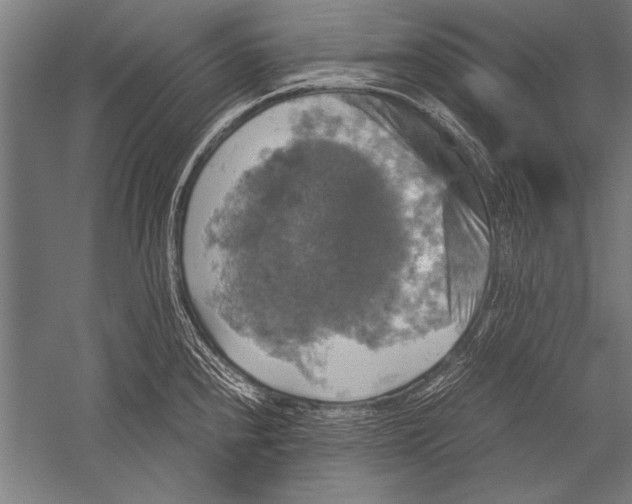 X0000051241240200507082116