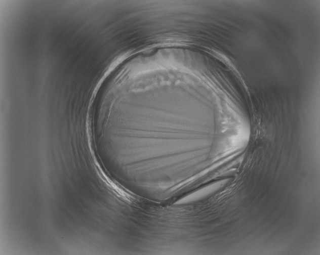 X0000051241243200507082116