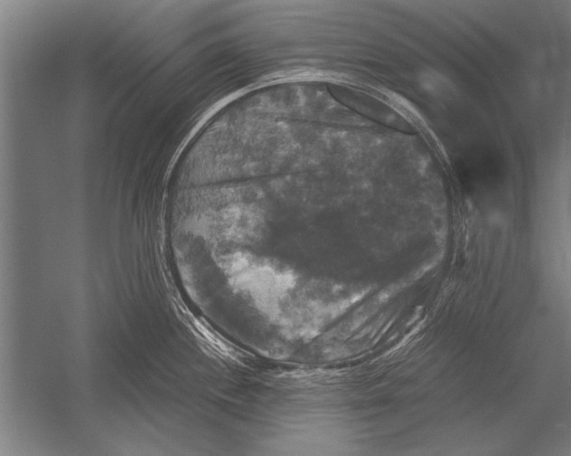 X0000051241244200507082116