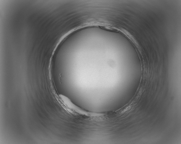 X0000051241246200507082116