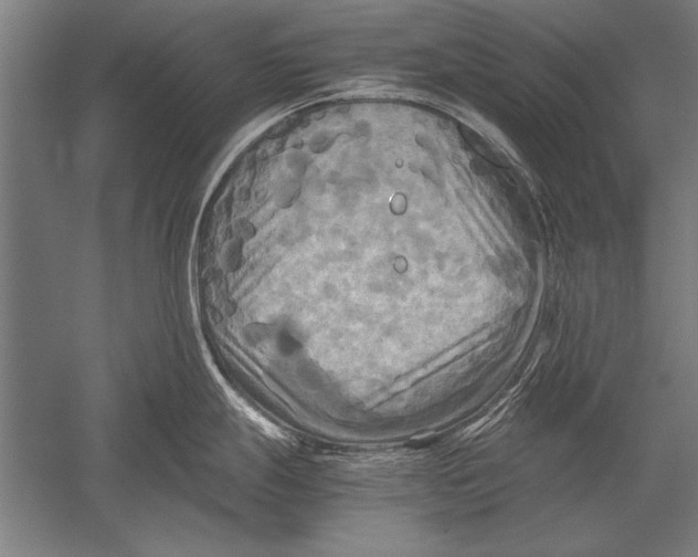 X0000051241247200507082116