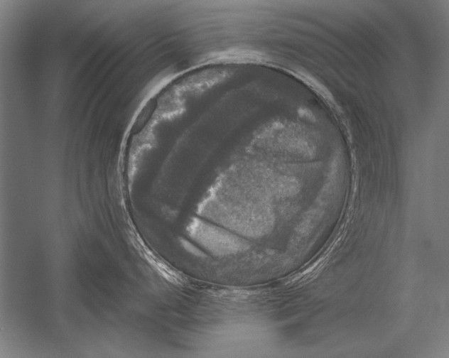 X0000051241248200507082116