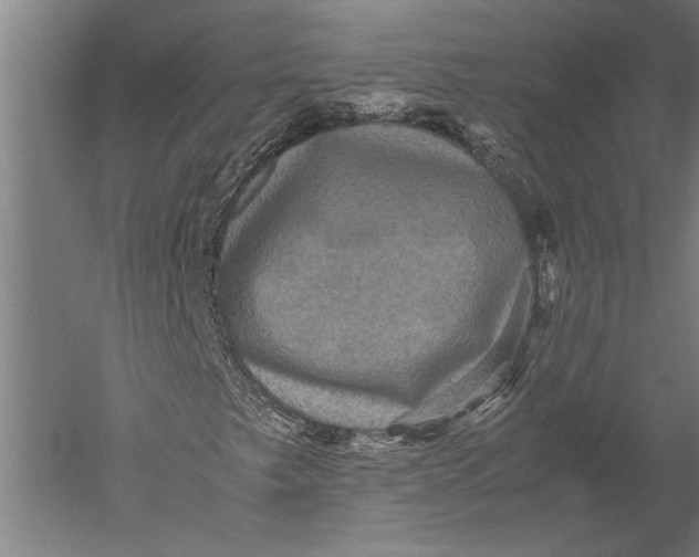 X0000051241249200507082115