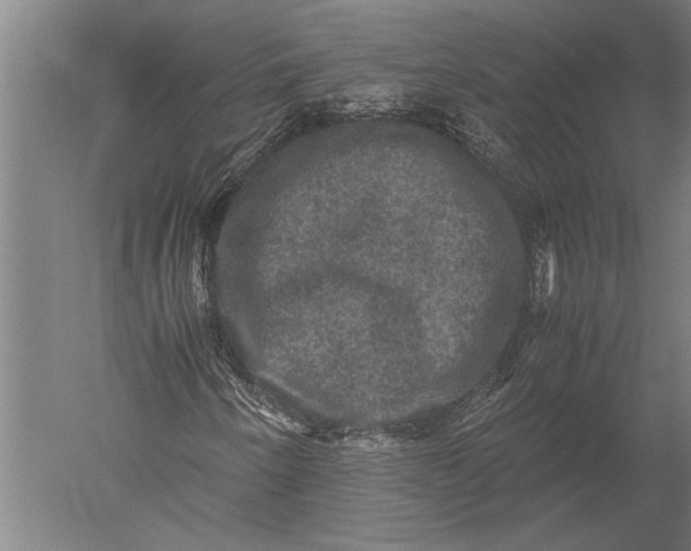 X0000051241250200507082115