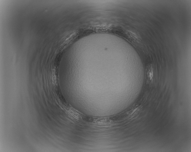 X0000051241252200507082115