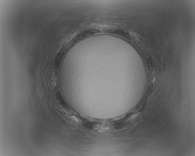 X0000051241253200507082115