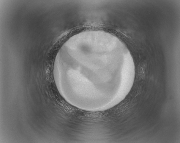 X0000051241254200507082115