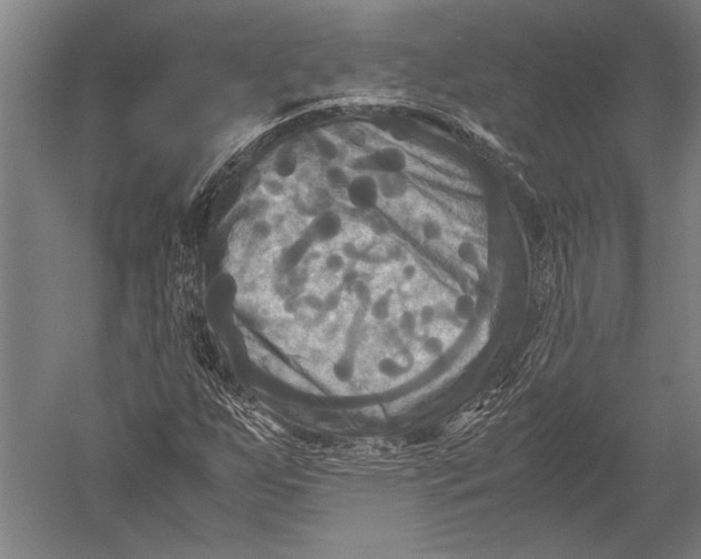 X0000051241255200507082115