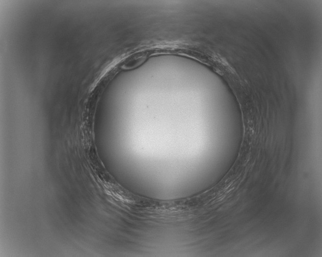 X0000051241256200507082115