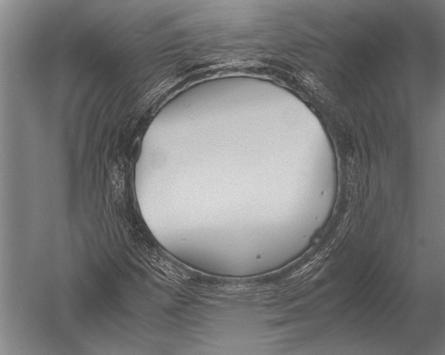 X0000051241257200507082115