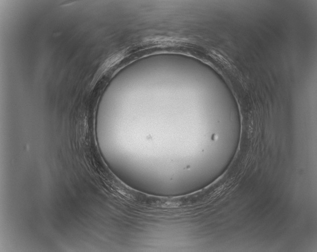 X0000051241261200507082115