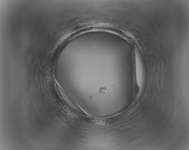 X0000051241263200507082115