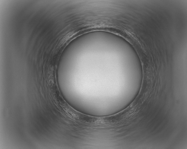 X0000051241265200507082115