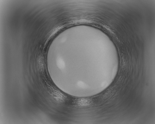 X0000051241266200507082115