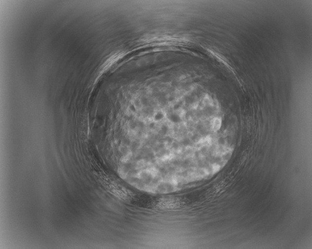 X0000051241267200507082115