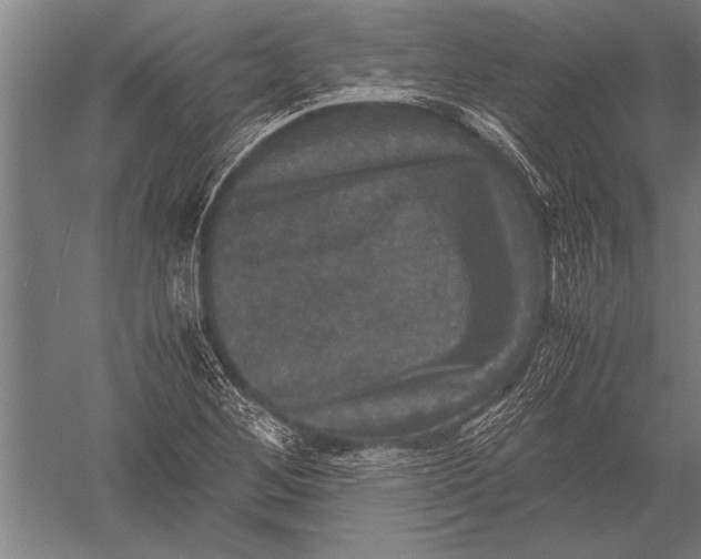 X0000051241268200507082115