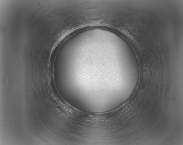 X0000051241270200507082115