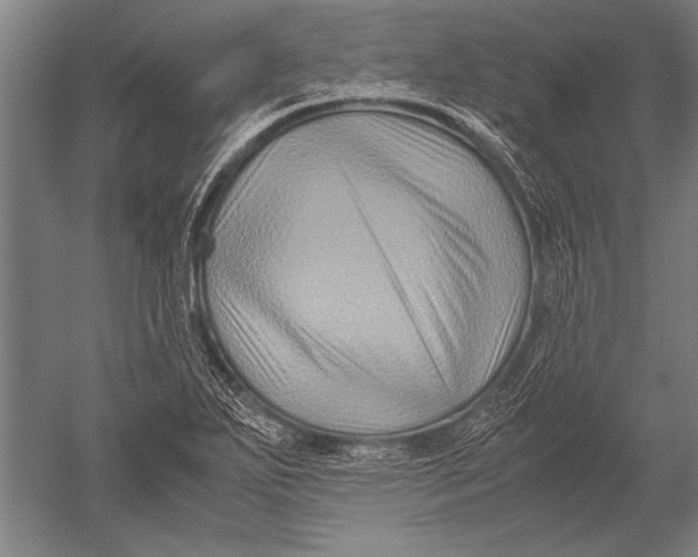 X0000051241271200507082115