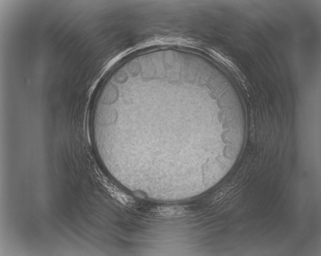 X0000051241272200507082115