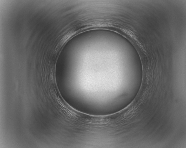 X0000051241273200507082114