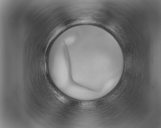 X0000051241274200507082114